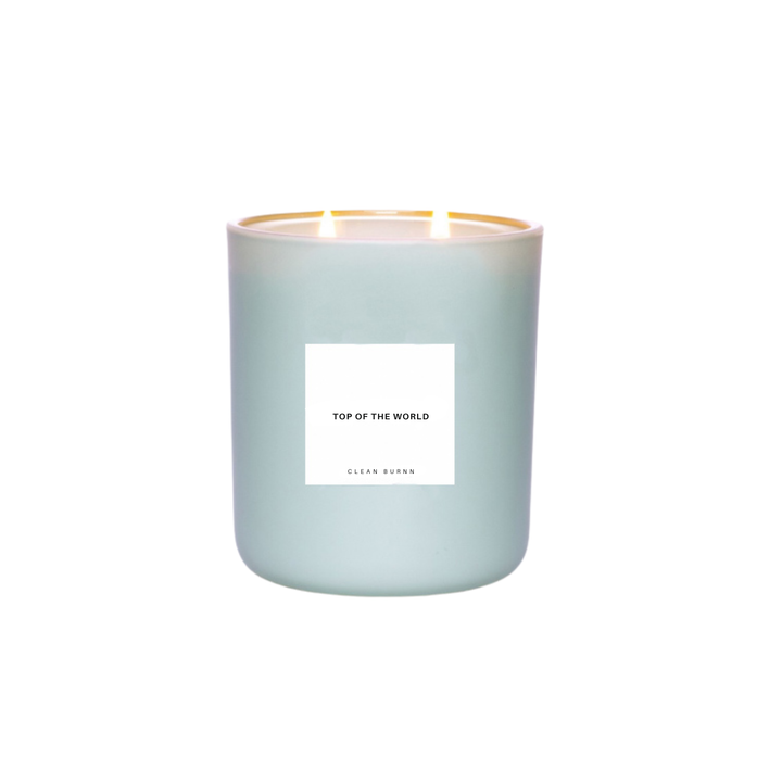 Top of the World Candle – Sweet Fruity Citrus Candle (12oz Sage